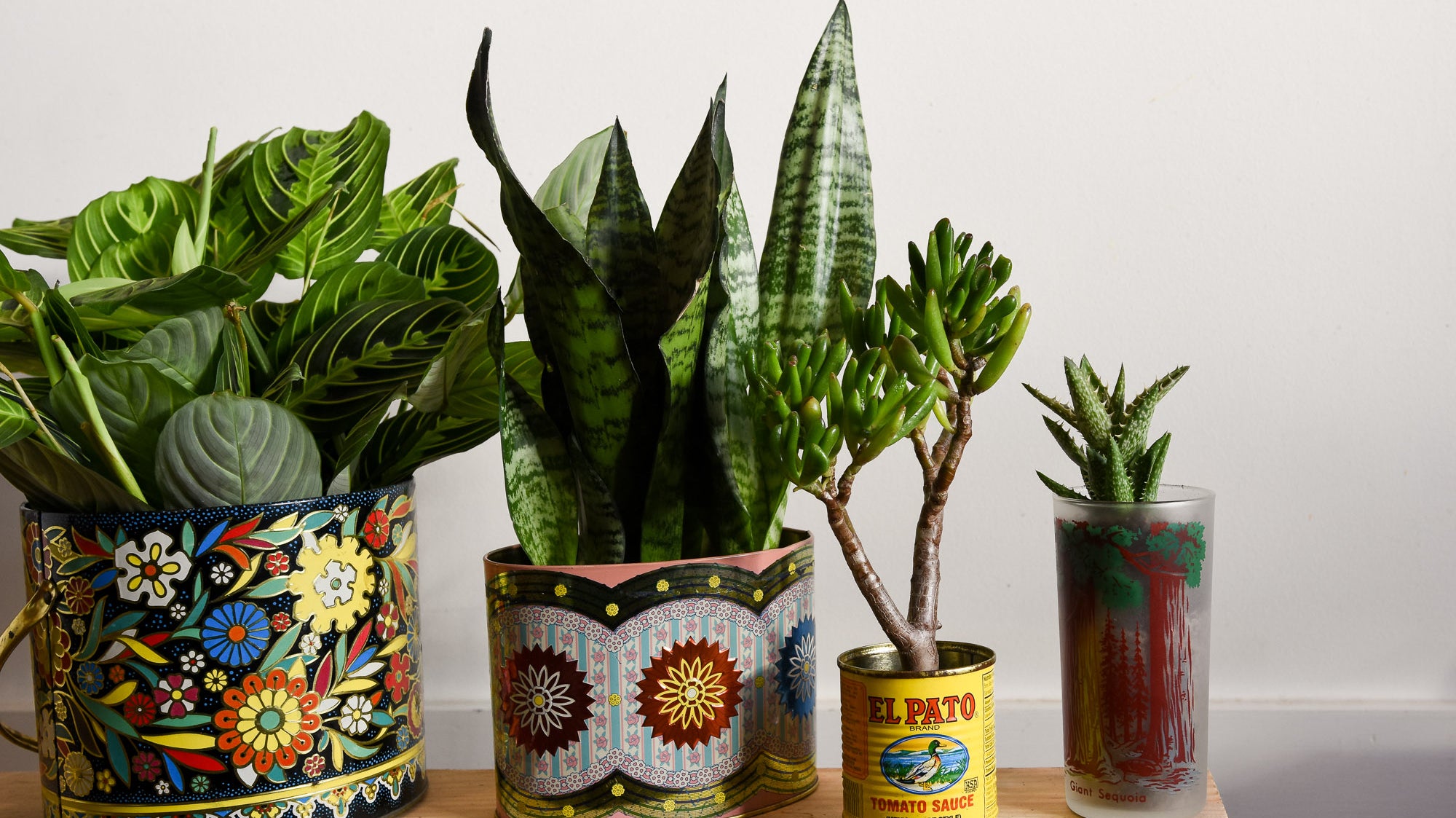 Tired of Terra Cotta? Take Your Plants Thrifting, A Guide