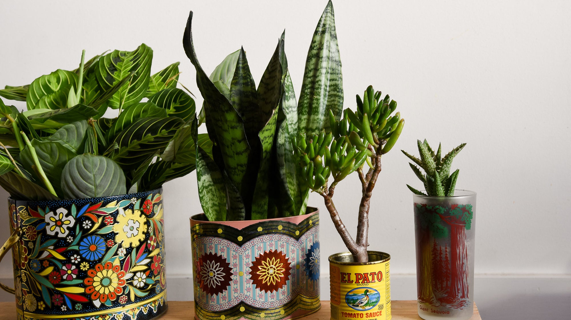 Tired of Terra Cotta? Take Your Plants Thrifting, A Guide