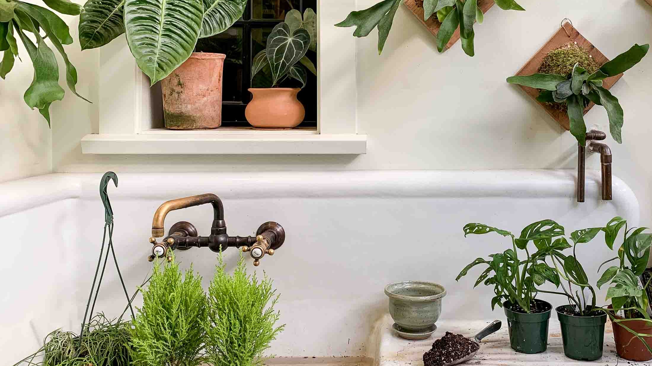 Light, Water, Soil: A Love Story