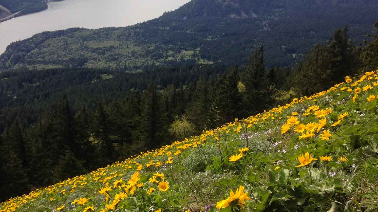 Fulfilling our 1% for the Planet Commitment: Who We Supported in 2020