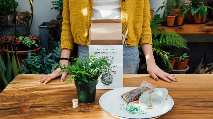 How To Make A Kokedama: DIY 'String Garden' Tutorial