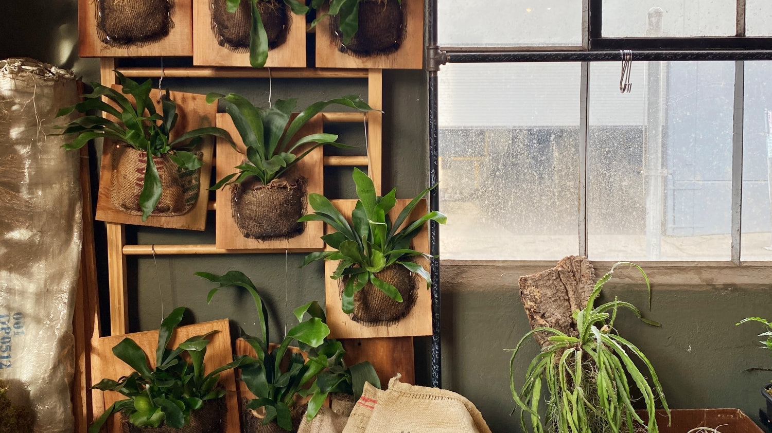 Meet the Artists Behind Our Plant Craft