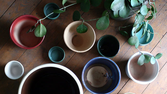 How to Plant in a Pot Without Drainage Holes