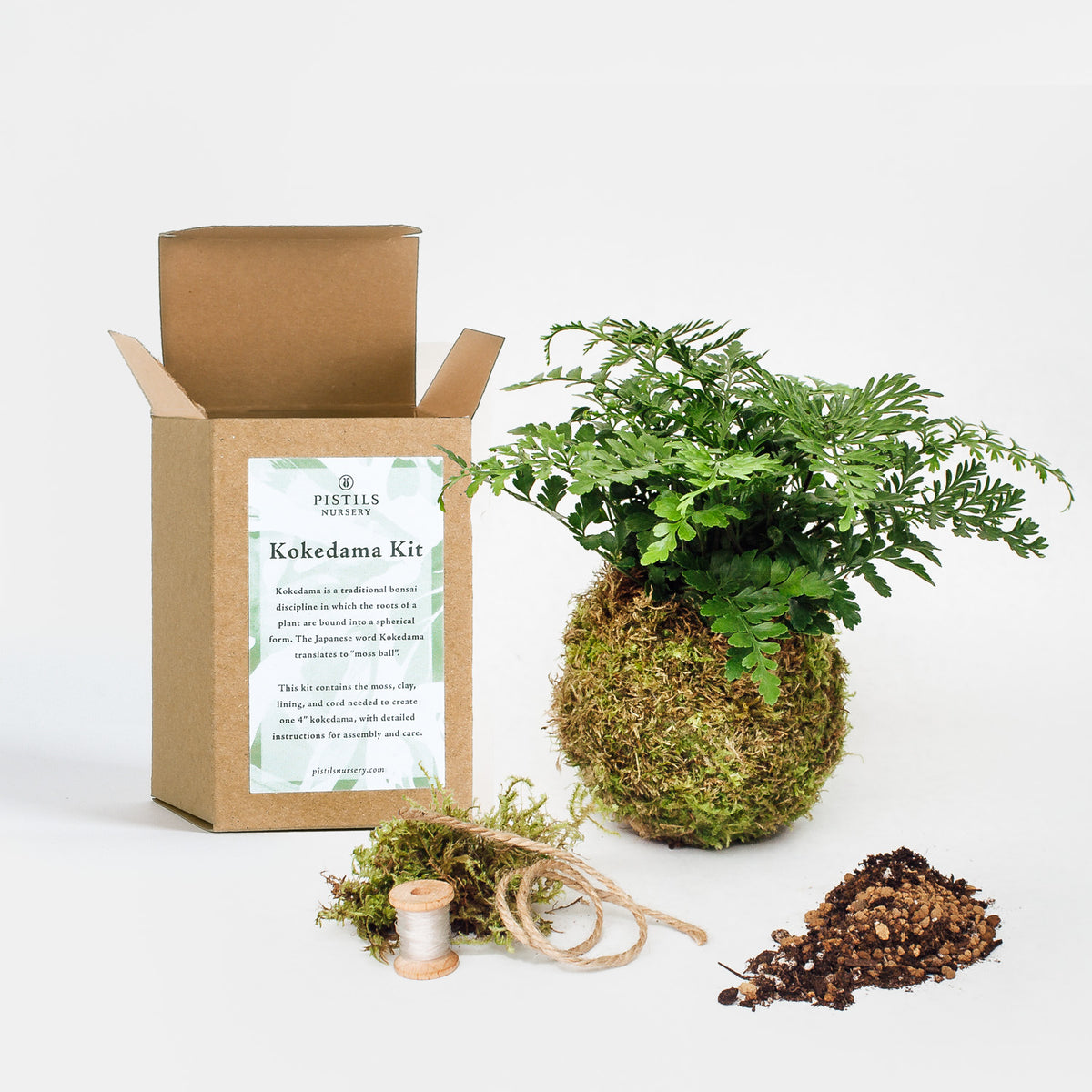 diy plant kit DIY Kokedama Kit: Make Your Own Kokedama