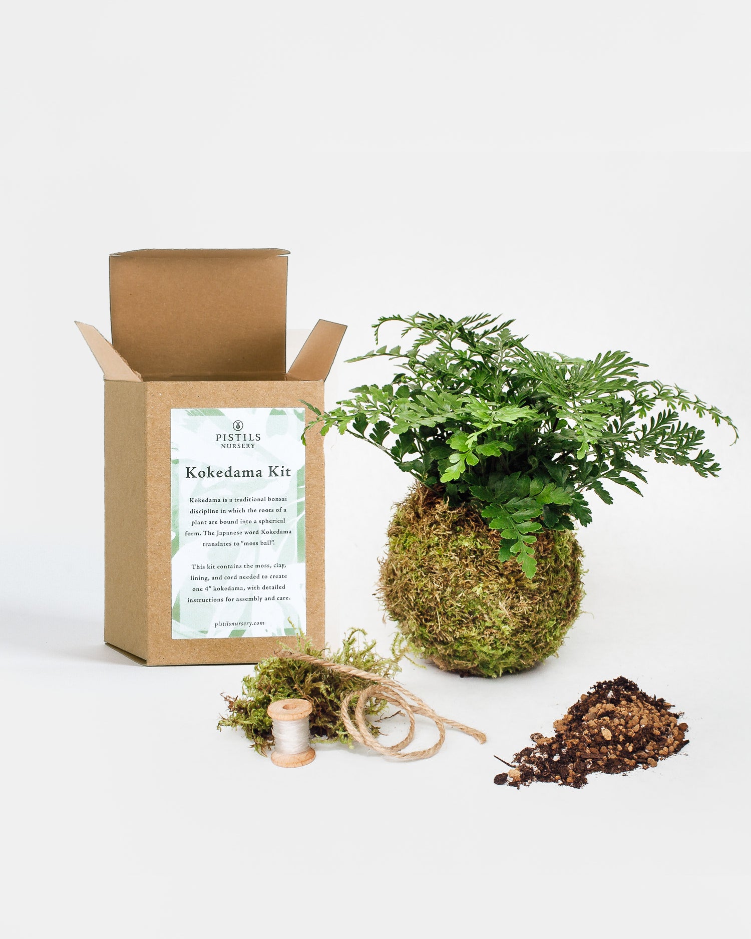 Open Kokedama Kit box showing kit supplies next to completed Davallia fern kokedama