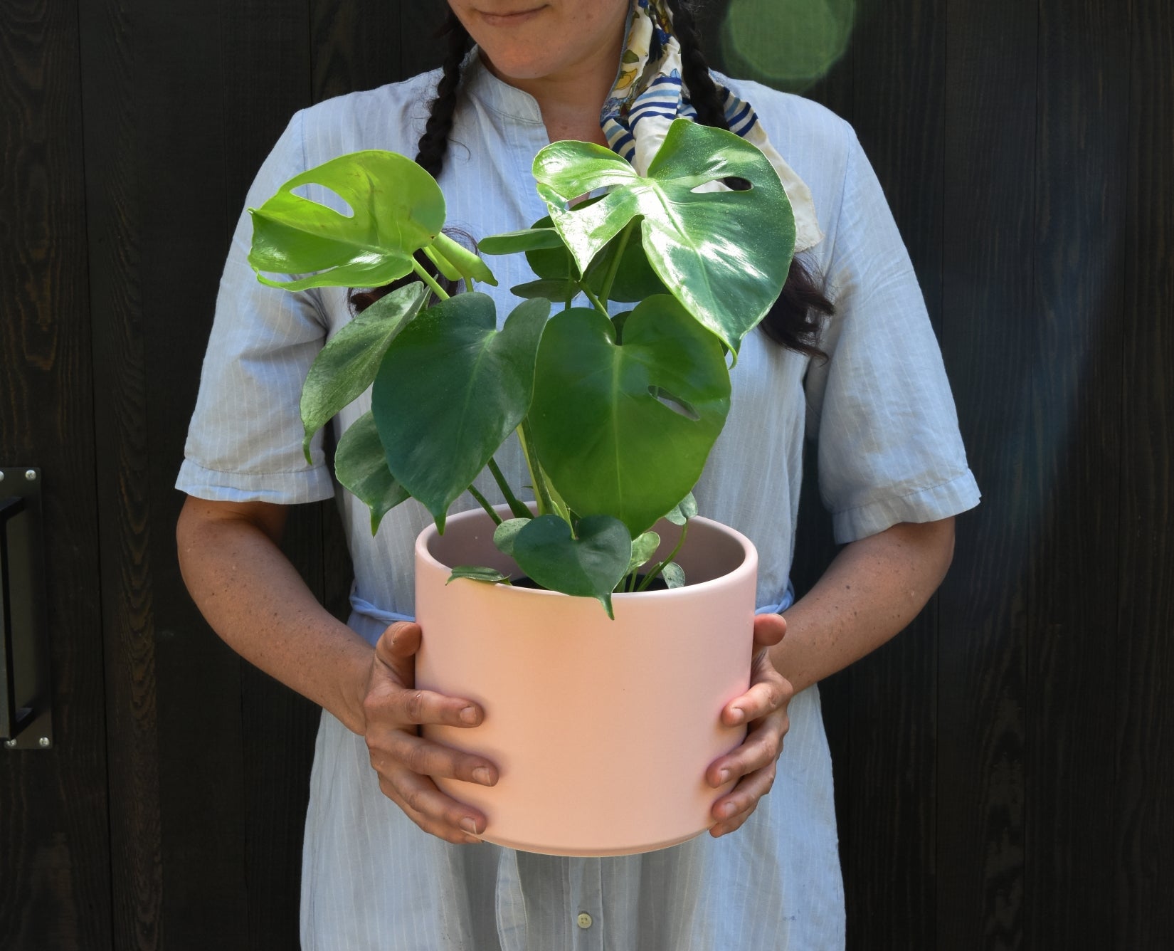 Houseplant Love Languages: Ways to Connect to Your Houseplants