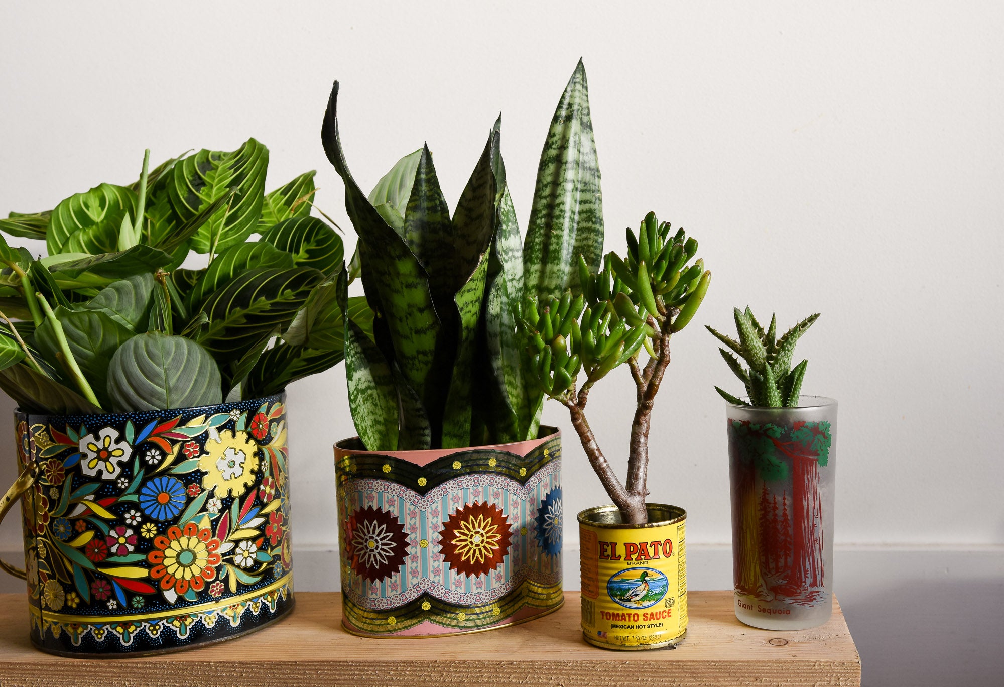 Tired of Terra Cotta? Take Your Plants Thrifting, A Guide