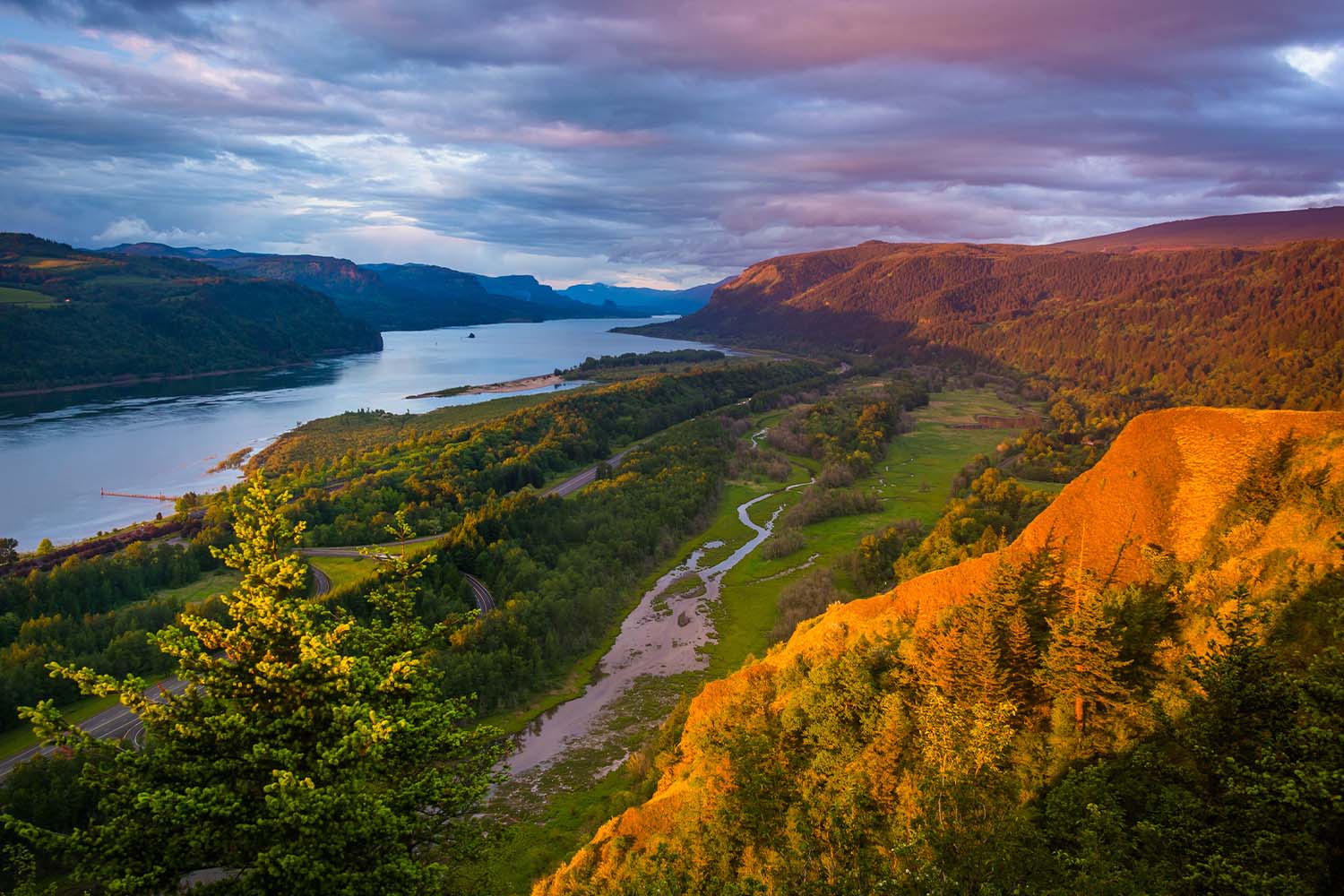 Memories in Green:  A Collection of Plant Stories from Our Staff