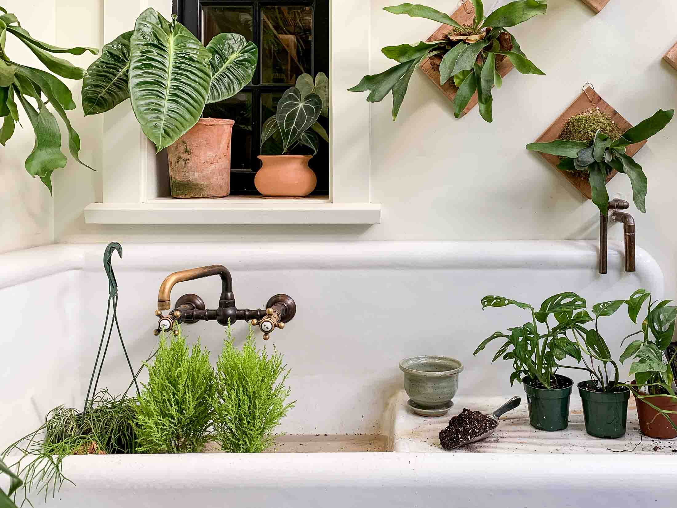 Light, Water, Soil: A Love Story