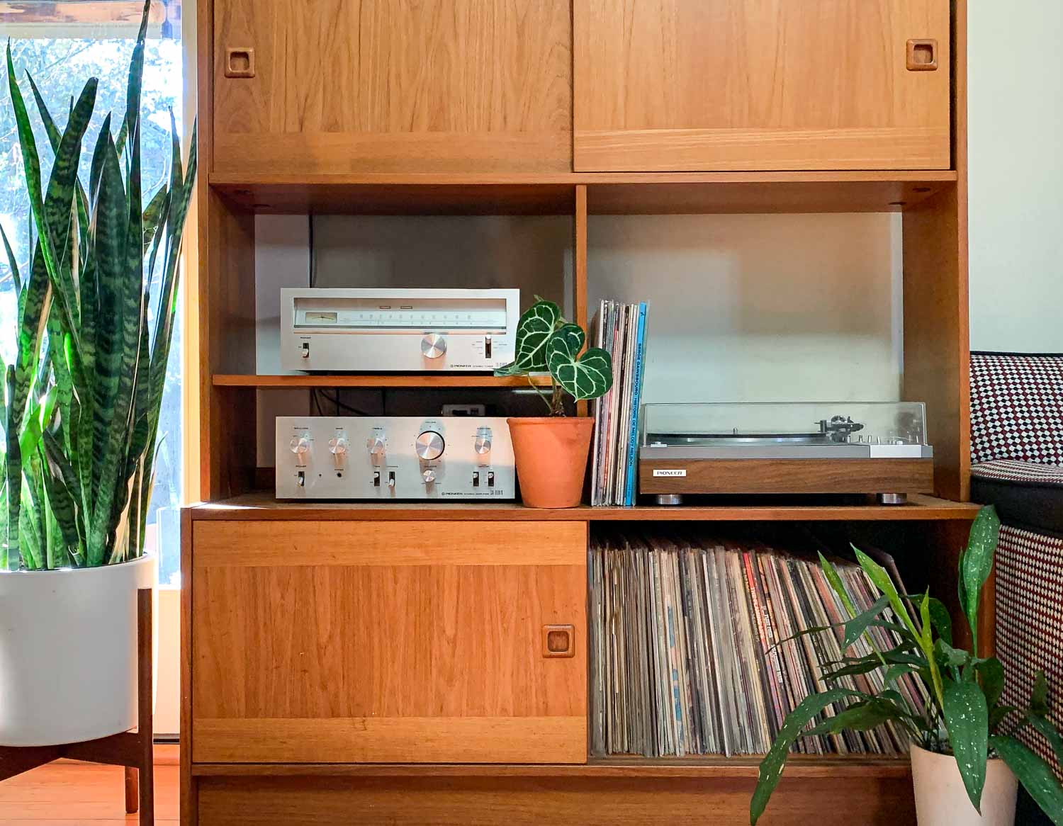 Should You Sing to Your Plants? Here's What the Science Says