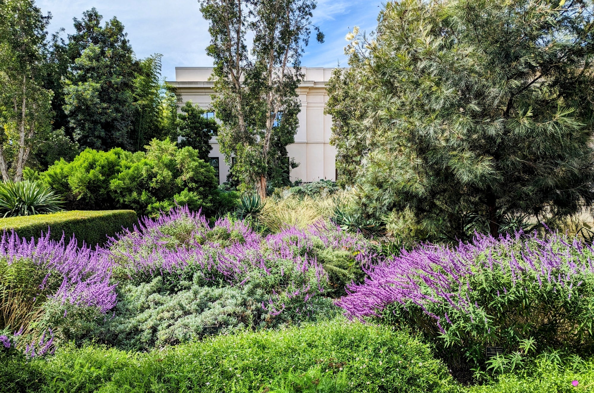 Photojournal: A Walk Through the Huntington