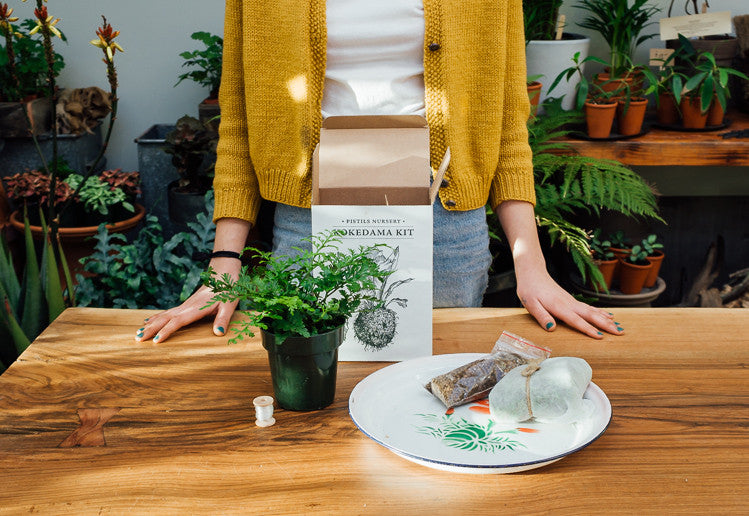 How To Make A Kokedama: DIY 'String Garden' Tutorial