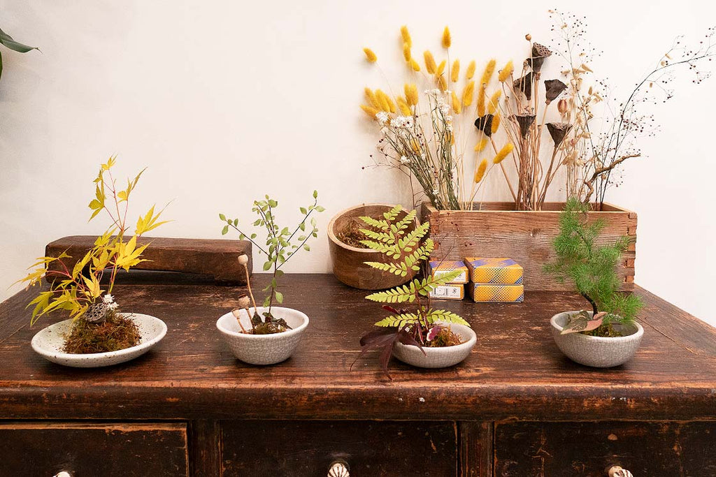 The Art of Ikebana: Celebrating the Present Through Floral Arrangements