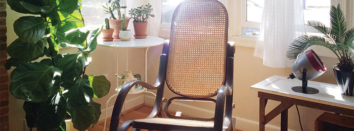 Announcing #InteriorRewilding: Telling Stories through Plant-filled Spaces