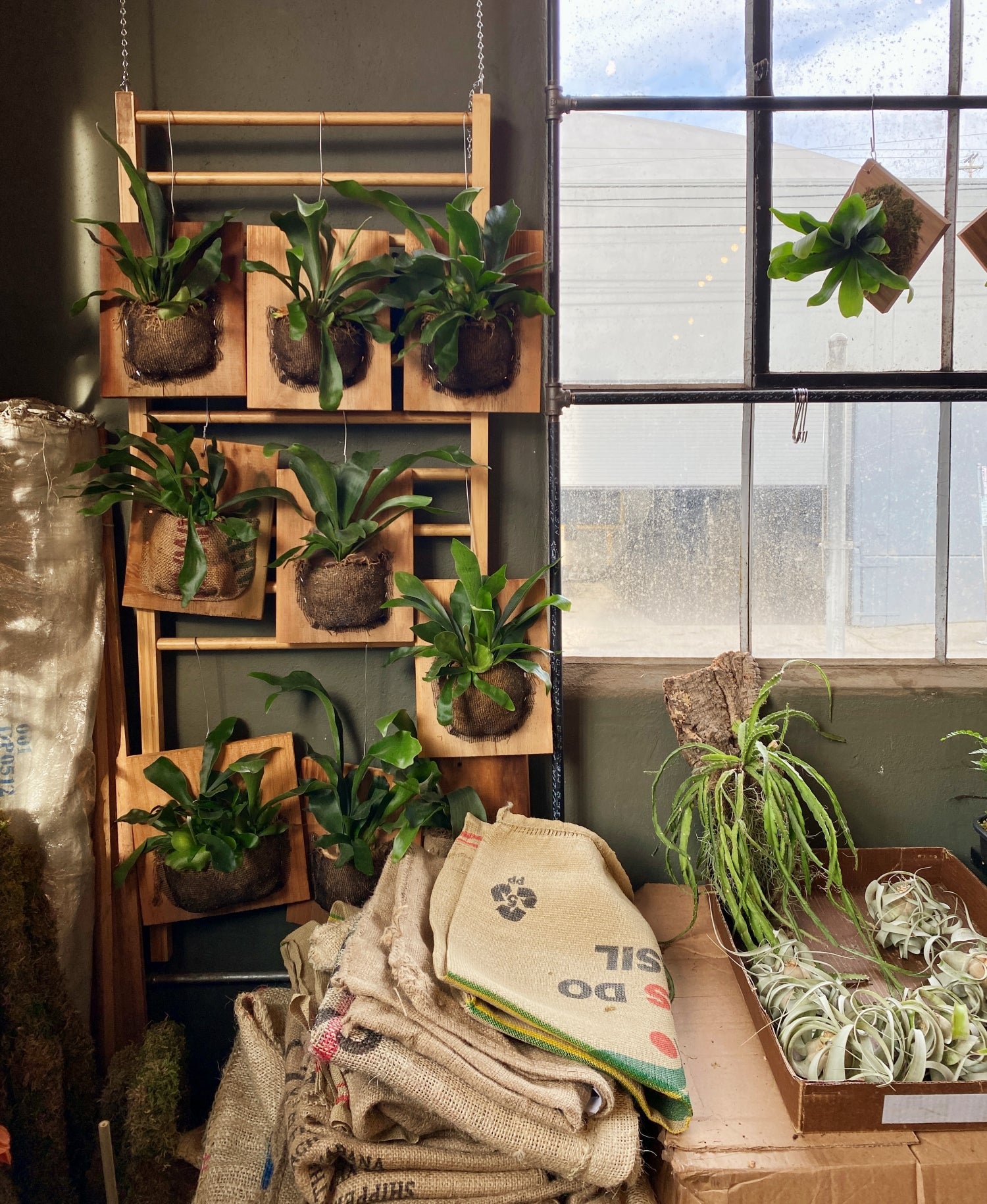 Meet the Artists Behind Our Plant Craft