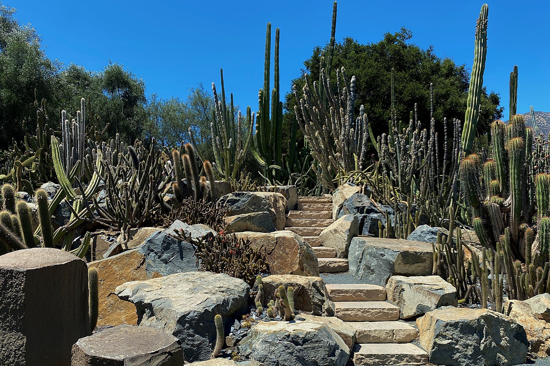 Photo Journal: A Walk Through Madame Ganna Walska’s Lotusland