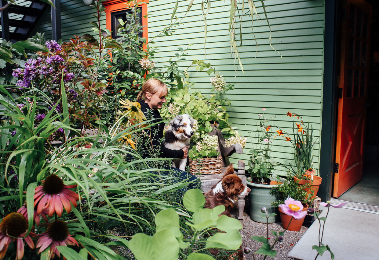 Celebrating 20 Years: A Conversation with our Founder