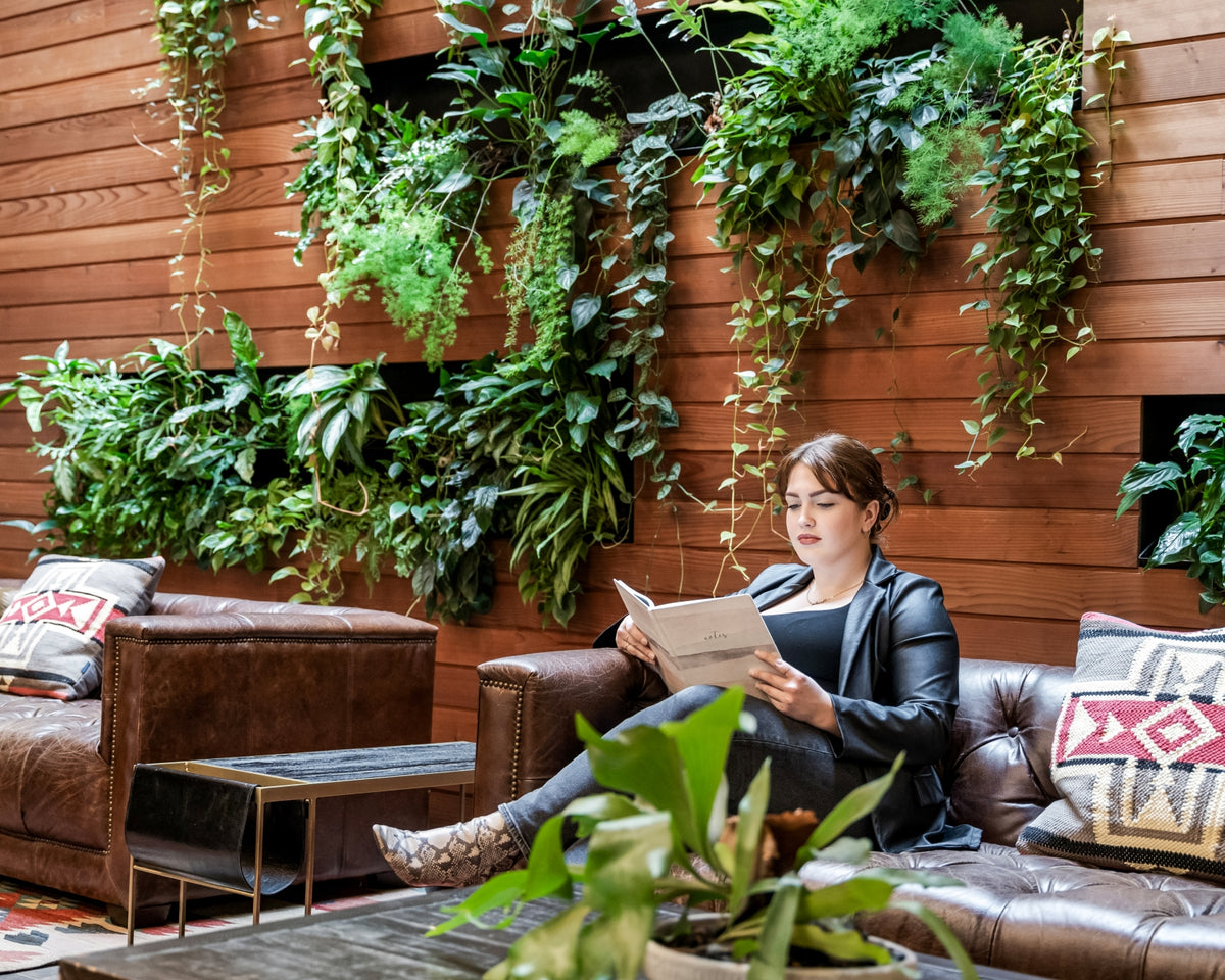 Plant Design Services - Plantscaping & Consultation - Pistils Nursery