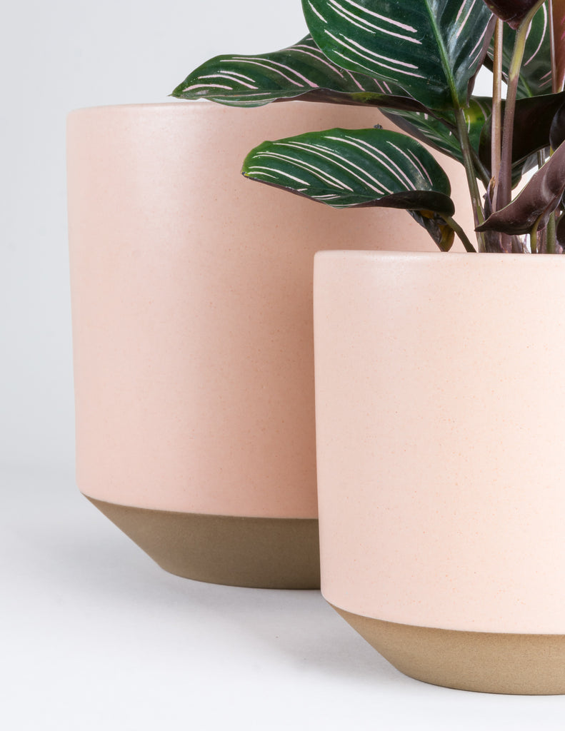 Two Satin Peach Coco Planters side by side