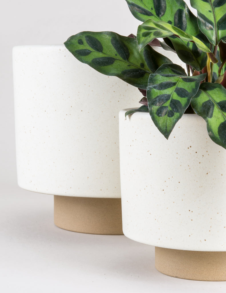Oatmeal Leo Planter showing cream colored planter with small black speckles and smaller stoneware pedestal base