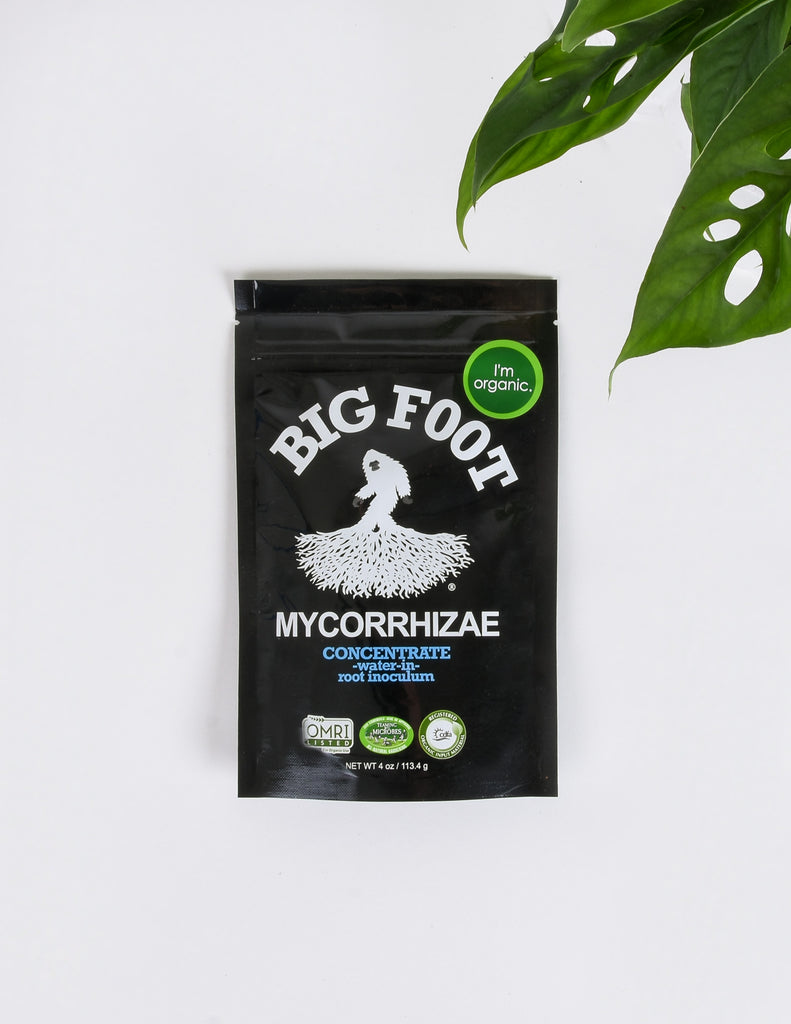 Big Foot Mycorrhizae - Pistils Nursery