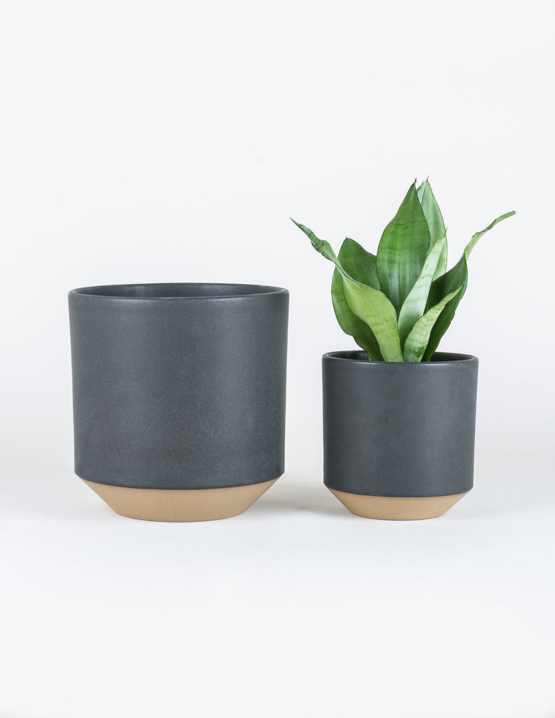 Large Coco Planter and Small Coco Planter containing snake plant