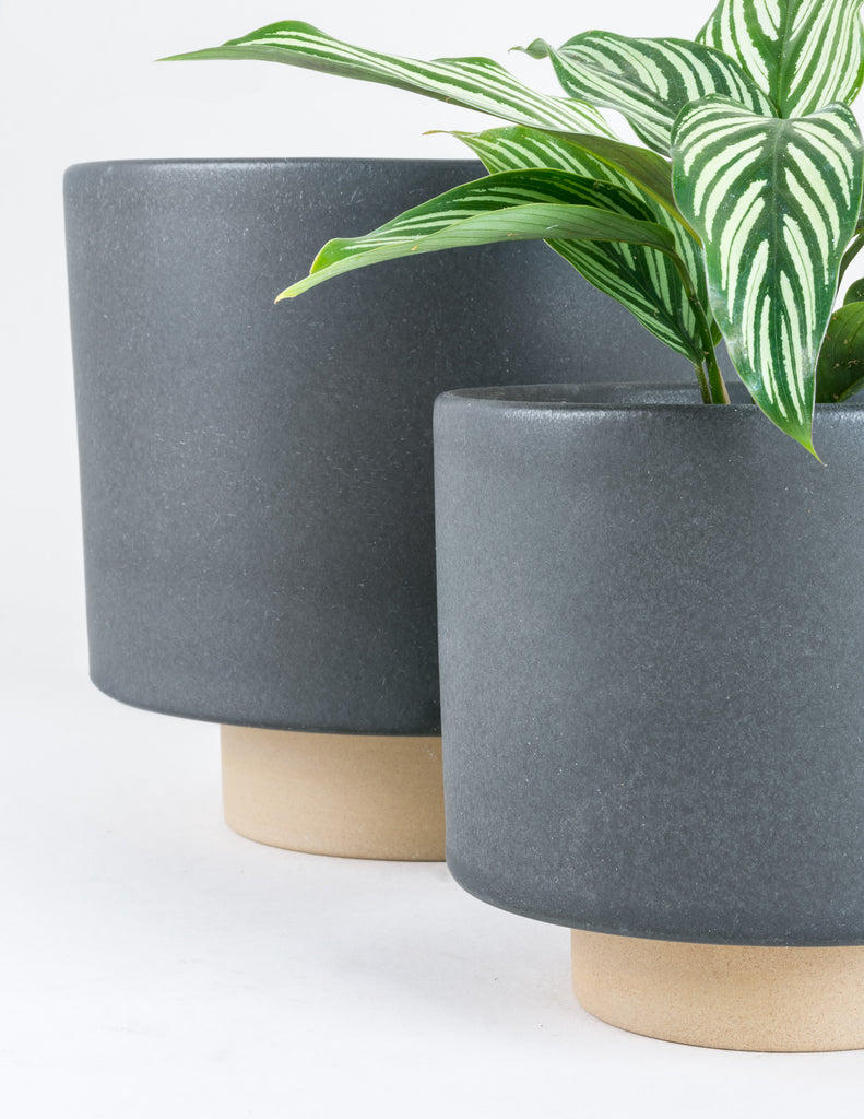 Charcoal Leo Planter showing grey-black colored planter with smaller stoneware pedestal base