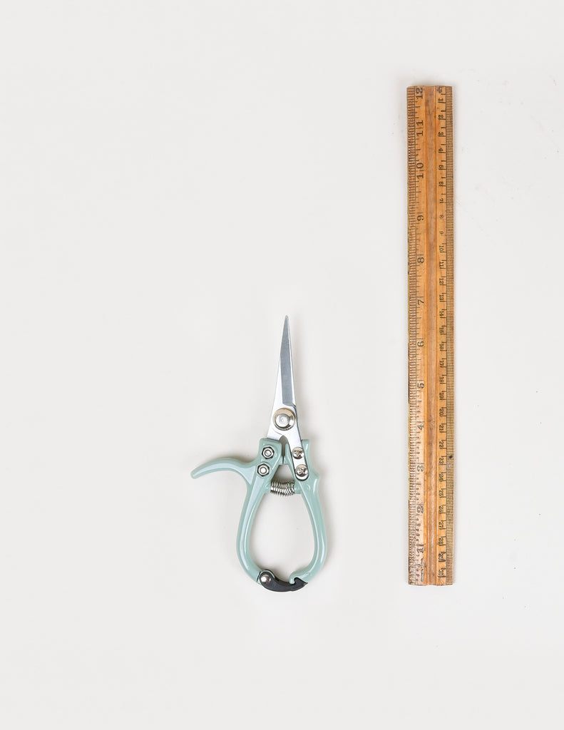 Modern Sprout Pruning Snips next to wooden ruler, measuring 7 inches in length