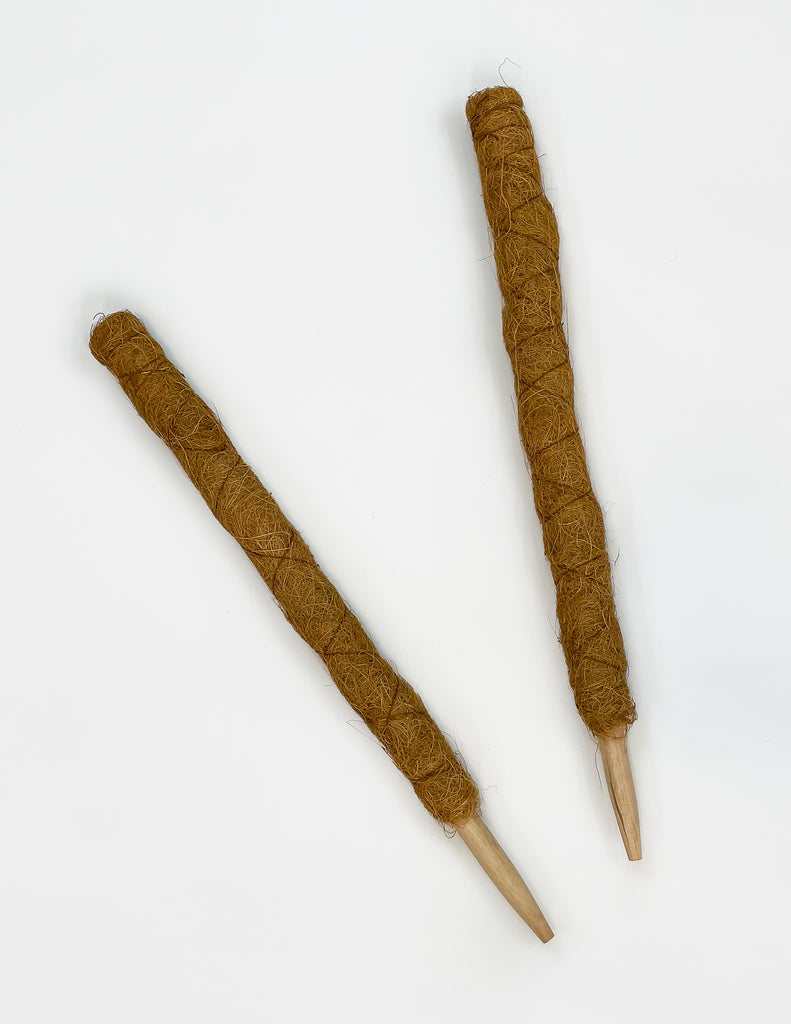 Coco Coir Pole - 2 Feet - Support for Aroids and Climbing Plants - Pistils Nursery