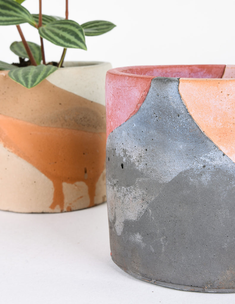 Collage Planter - Ivy Mane - Pistils Nursery