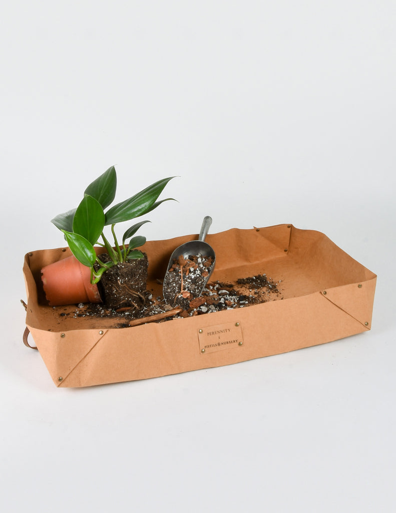 Potting Tarp - Perennity x Pistils Nursery 